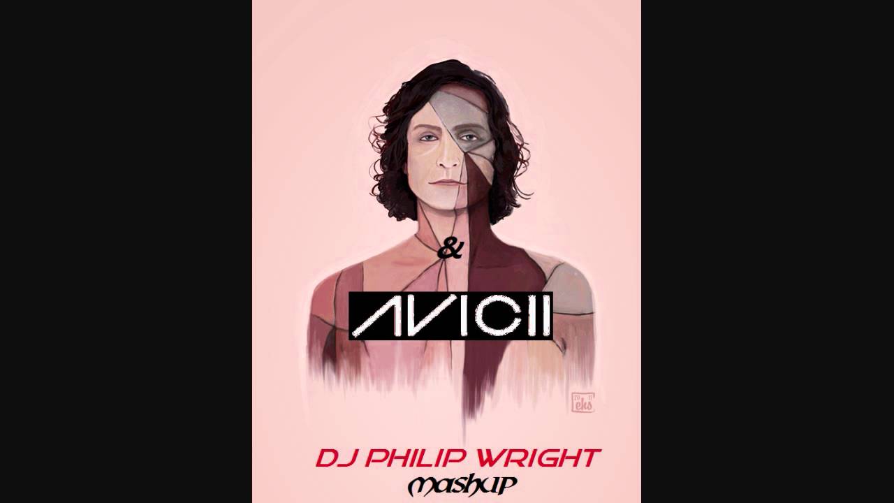 Gotye & Avicii Somebody That I Used To Know vs Levels (DJ Philip