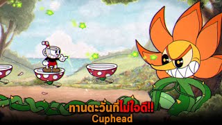 ทานตะวันที่ไม่ใจดี Cuphead