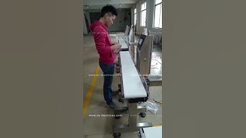 High accuracy automatic carton box case weighing checking machine product weight checker line