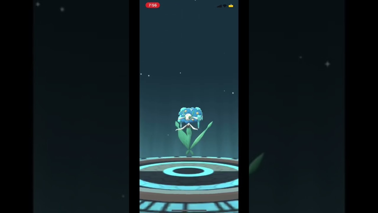 フラージェス Shorts Shorts Pokemongo フラージェス フラべべ フラエッテ フラエッテ進化 ポケモンgo ポケモン進化 進化 ポケモン 青フラージェス Youtube
