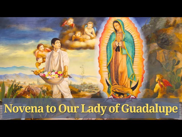 Novena to Our Lady of Guadalupe class=