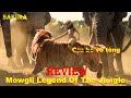 Review phim huyn thoi rng xanh phn 2  mowgli legend of the jungle  sakura review