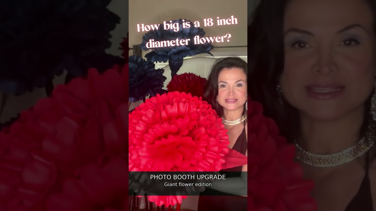 POV: You make giant flowers for a living 🌹 #Shorts