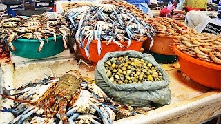 Столько рыбы вы ещё не видели! Рыбный рынок дейра Дубай