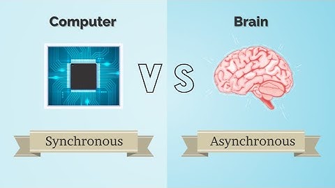 The role of delays in brain dynamics