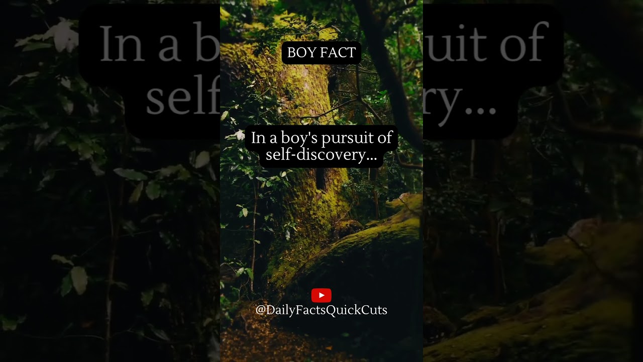 In A Boy's Pursuit Of Self-discovery | DailyFactsQuickCuts