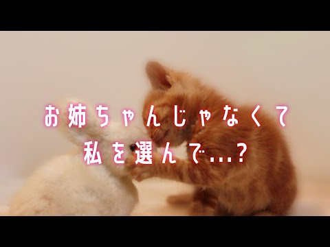 【男性向け ASMR】幼なじみ彼女の妹に媚薬を飲まされてNTRれ【シチュエーションボイス】cv天羽あんじゅ