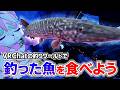 【VRChat】釣りワールドでVRとリアルを融合?!釣れた魚の寿司を食べればええじゃないか。