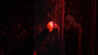 Turbo Snail Spawning