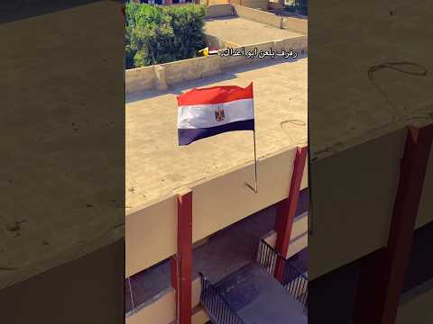 نحمي البلد دي لآخر الزمان مصر  مصري