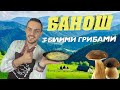 Банош  Козирна страва кухні Карпат  Секрет смаку що запам'ятається!