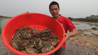 小池卖完鱼虾过来虾塘抓青蟹，抓上十几斤的大青蟹，产量有点低