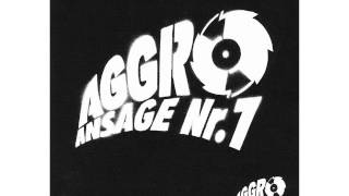 Aggro Berlin  Arschf*ckSong