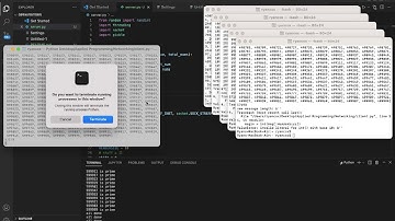 Distributed Network in Python