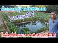 ใครว่าที่สูงขุดสระเลี้ยงปลา ทำเกษตรไม่ได้ มาดูผมเลย