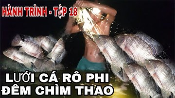 hành trình đi lưới bắt cá rô phi đêm - Tập 18 | Được Đồng Nai