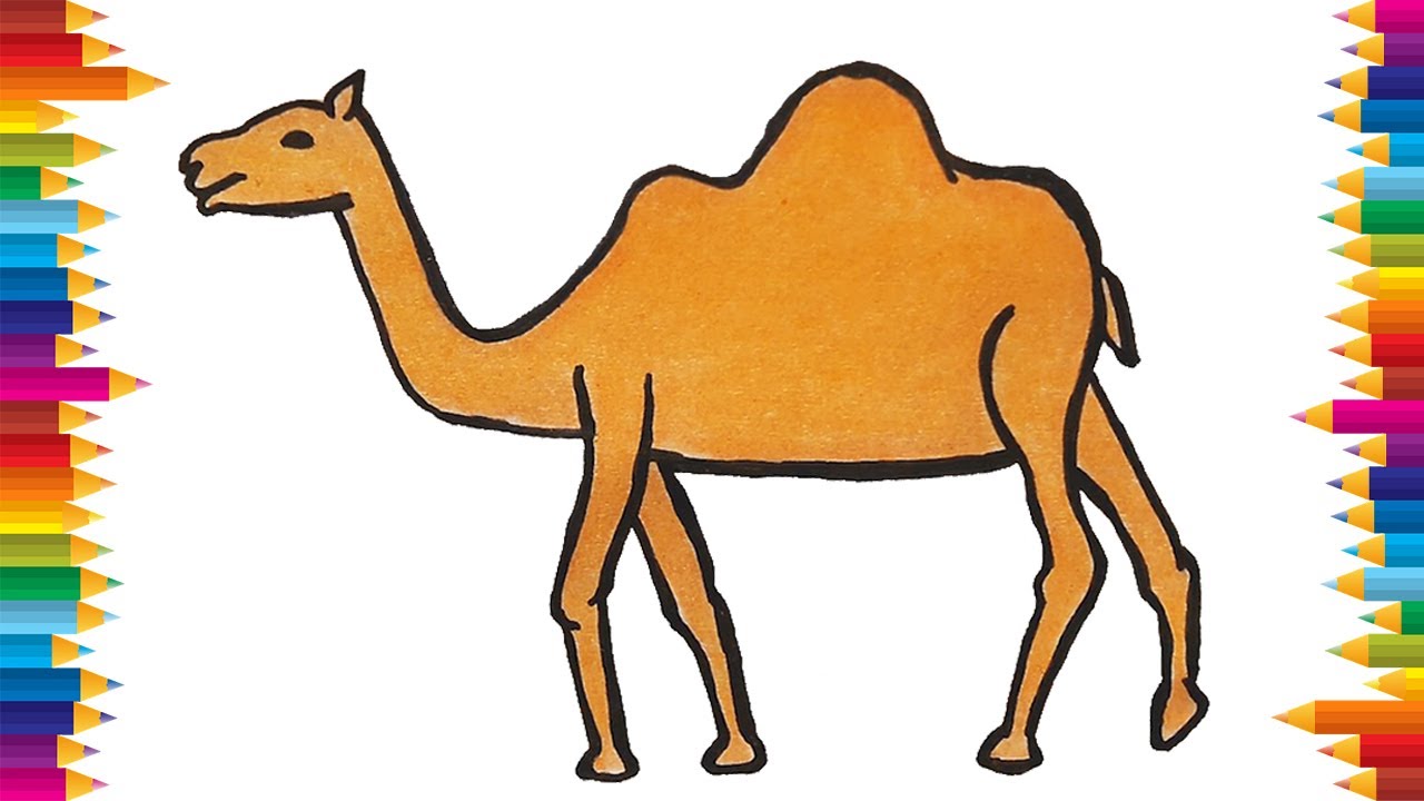 How to draw a camel || Camel drawing - YouTube