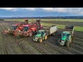 Agrárfilm - Holmer T3+T4+Terra Felis 2 | Ropa | 14x John Deere | Cukorrépa betakarítás | Rübenernte