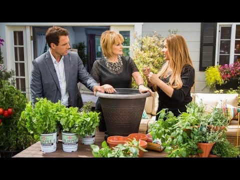 Shirley Bovshow shows how to Grow Vegetables on your Patio