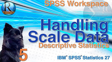 Descriptive Statistics for Scale Data in SPSS 27 - Statistics with SPSS for Beginners (5 of 8)