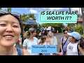 Sea Life Park Hawaii Family Review 2021 VLOG// Waimanalo on Oahu//Should You Go To Sea Life Park?