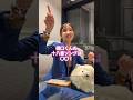 橋口くん、飲み会のカラオケで何を歌えばいいか迷ってます…#shorts