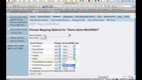 RDF Linked Data Views over RDBMS Data Sources