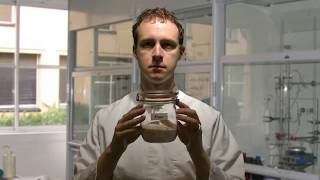 All Around Us - Is Flour Soluble in Water?