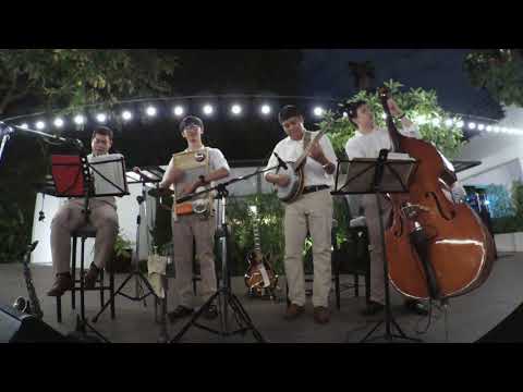 six stringed banjo six stringed banjo
