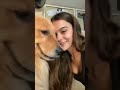Aww such a rare lovedogs dogslovers lovepets