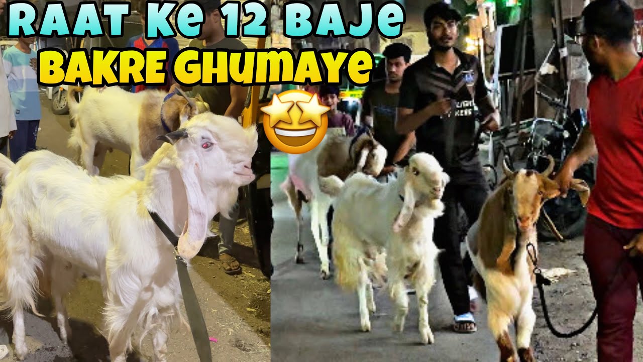 Aaj ￼Raat Ke 12 Baje Bakre Ghumaye Mai Maza Aagaya || MD ANAs VLOGs