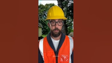 You Think Tree Cutting is Easy? Think Again 💥 #adamrose #treefelling #chainsawman #workers  #shorts
