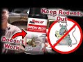 How to keep rats out easy diy methods