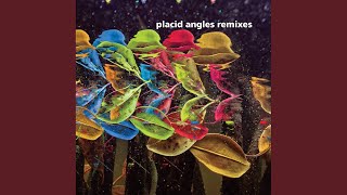 Video thumbnail of "Placid Angles - Cha'kwaina (Marcel Dettmann Remix)"