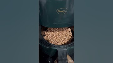 Peanuts roast using pigeon air fryer #peanut #food #love #snacks #midnightcravings #healthy