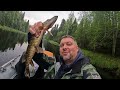 Рыбалка в Карелии. Голодная щука и бобры. Путешествие на УАЗе.