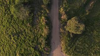 Eagle Eye View of Forest Valley- 4K Drone Video screenshot 1