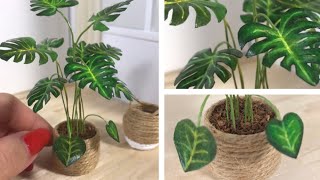 DIY Miniature Monstera Plant (And Basket Planter)