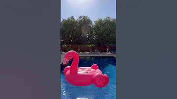 المزارع الاربعة فلل وشاليهات للايجار البحر الميت الفرع رقم ٥ للحجز والاستفسار ٠٧٩٥٣٩١٣٣٣ 