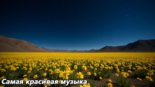 картинка: Лучшая музыка для снятия стресса🌿 Музыка для расслабления ума🌿Мелодии Сергея Грищука