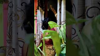 #newsong #love #foryou #homelife #minivlog #evening #tea