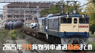 2025年9月貨物列車撮影記録まとめ(EF210、EF65、EH500、EH200・他)