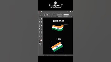 Beginner vs Pro in Adobe Illustrator | Design Tips & Tricks #pixsignerz