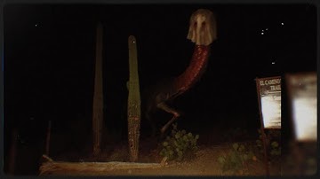 Liminal Spaces But They Keep Getting Creepier...💀 (Part 100)