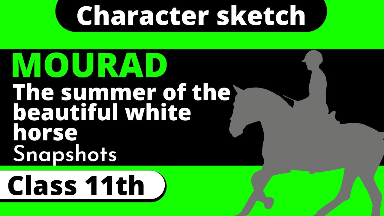 EduRankers: The Summer of the Beautiful White Horse;NCERT Solutions and  Summary for Class 11