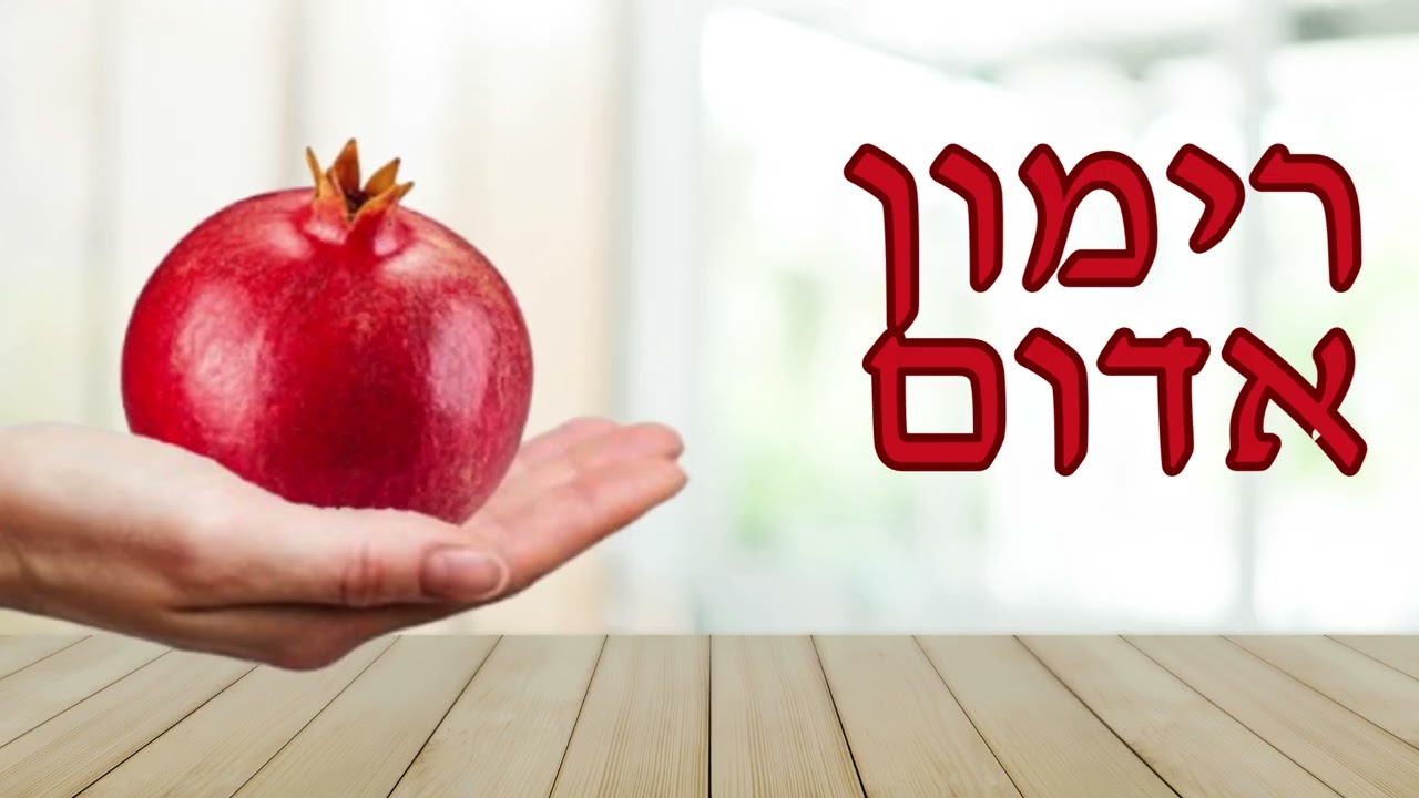 שיר הסימנים לראש השנה 🍎🍯 / שיר ילדים / גיתית וייס