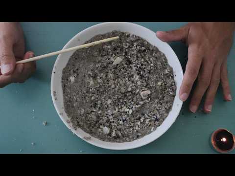 Sand & Seashells Predictions for Everyone (ASMR)
