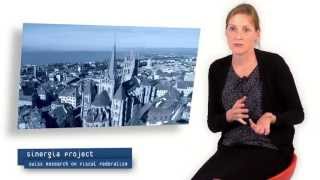 Details Sinergia project on fiscal federalism - Stefanie Brilon News
