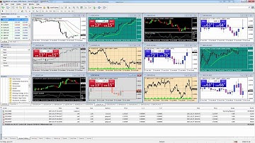 Mt4 terminal setting