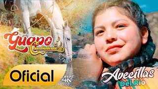 Guapo Chumbivilcano / Avecillas del Rio / Oficial 2024 / Fameco Films